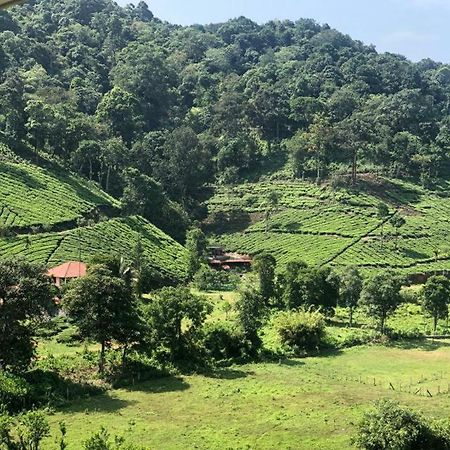 Janiro Tea Trees Villas Витири Екстериор снимка