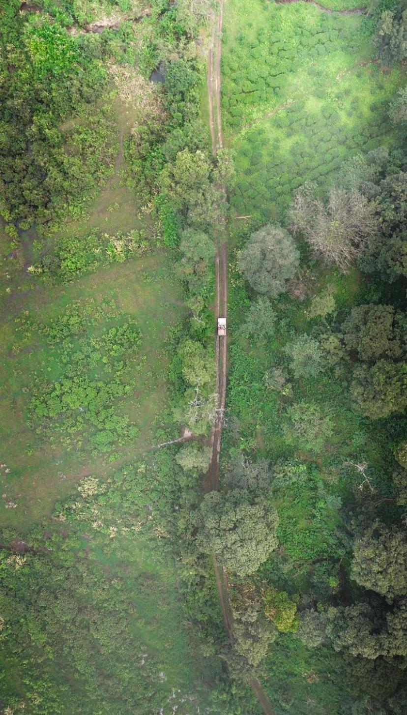 Janiro Tea Trees Villas Витири Екстериор снимка